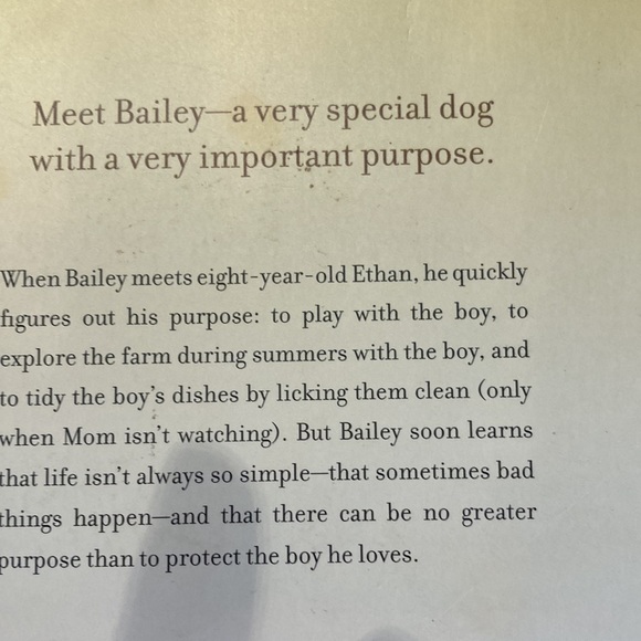 Baileys story, Molly story, racing in the rain set of 3 books - Picture 5 of 10